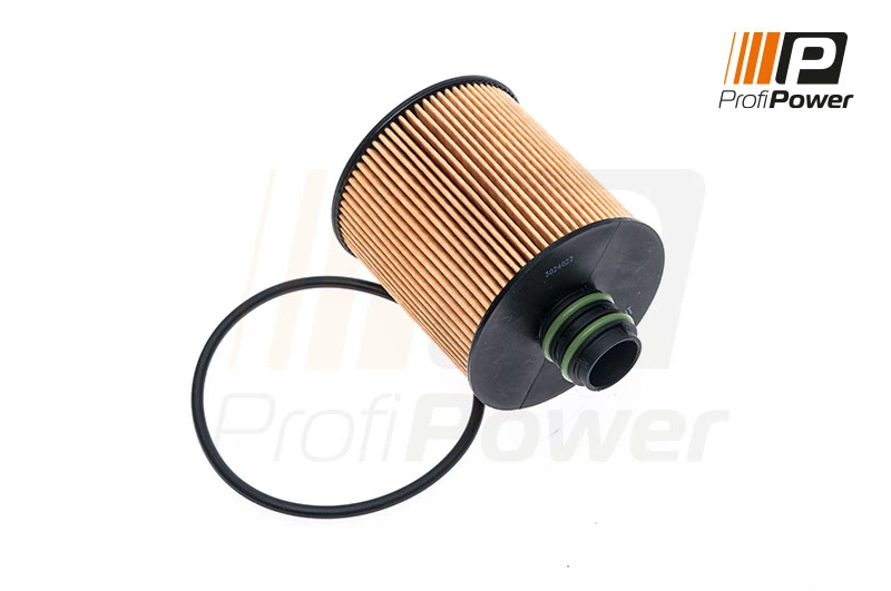 Oil Filter 1F0100