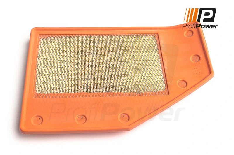 Air Filter 2F0255