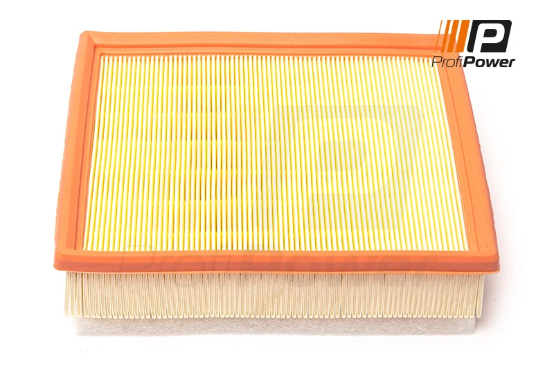Air Filter 2F0165