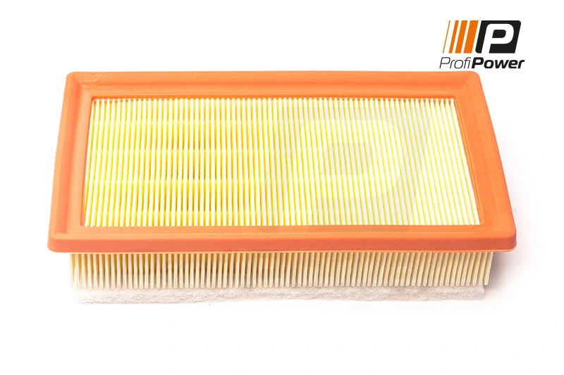 Air Filter 2F0194