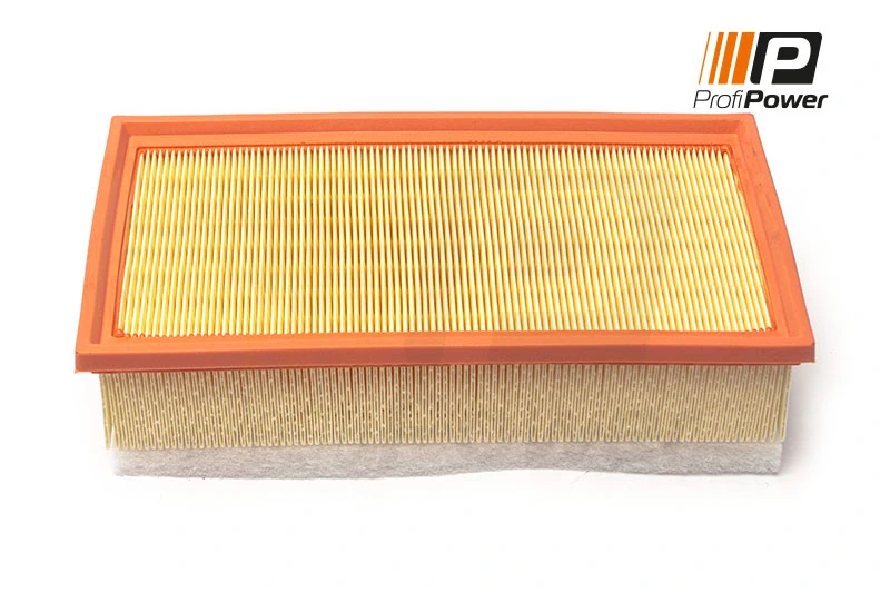 Air Filter 2F0172