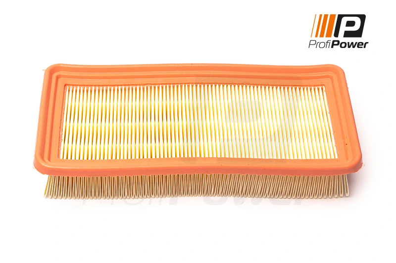 Air Filter 2F0173