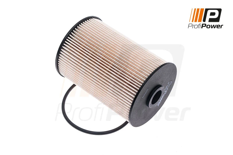 Fuel Filter 3F0019