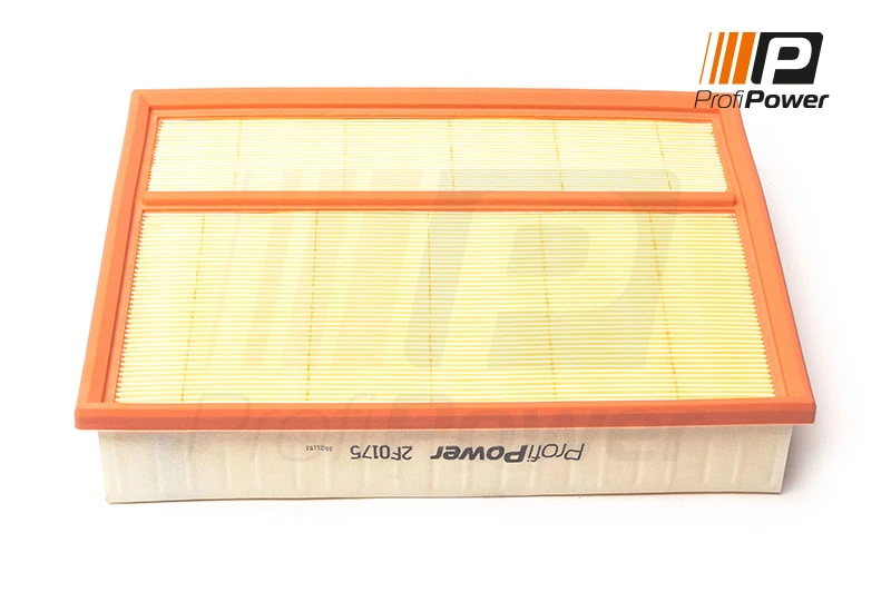 Air Filter 2F0175