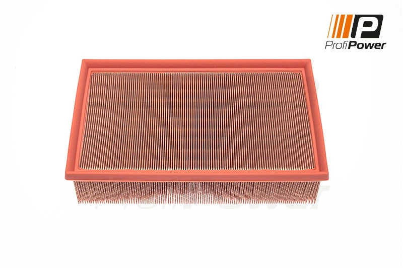 Air Filter 2F0020