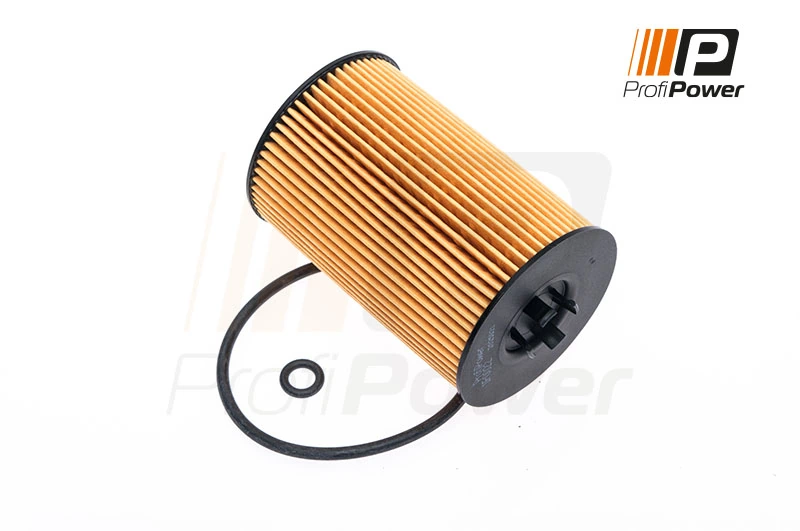 Oil Filter 1F0022