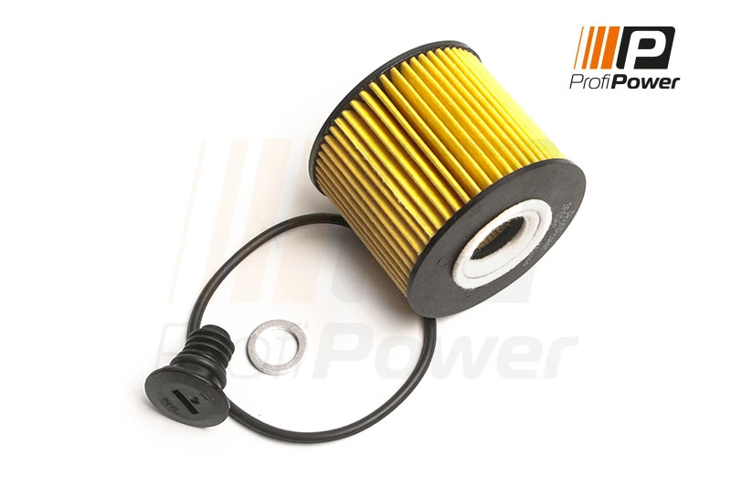 Oil Filter 1F0165