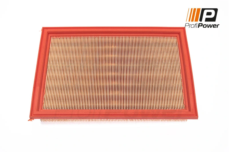 Air Filter 2F0042