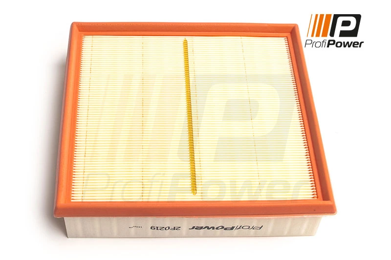 Air Filter 2F0219