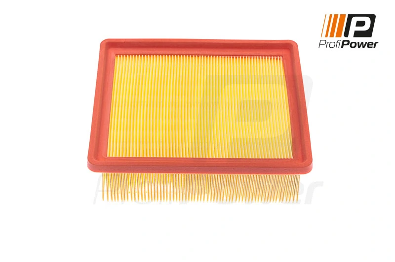 Air Filter 2F0113