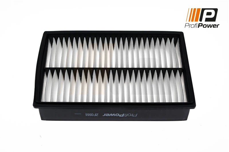 Air Filter 2F0161