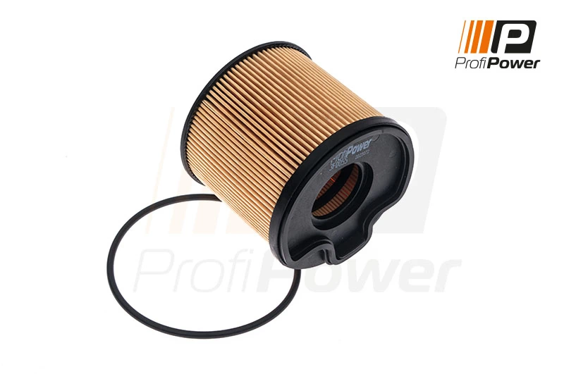 Fuel Filter 3F0055