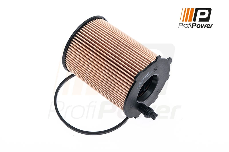 Oil Filter 1F0007