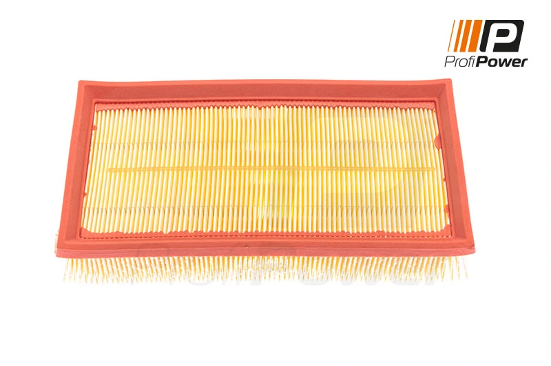 Air Filter 2F0100