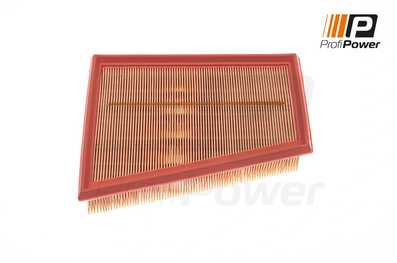 Air Filter 2F0081
