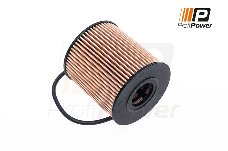 Oil Filter 1F0005
