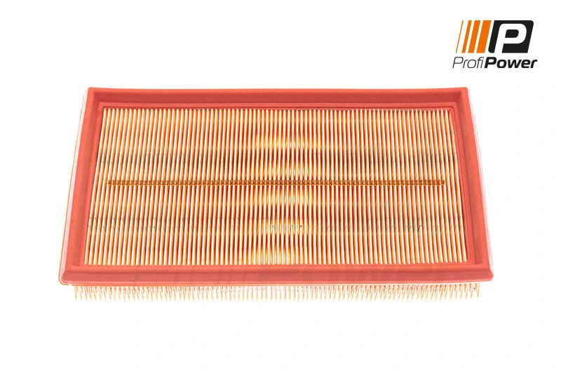 Air Filter 2F0019