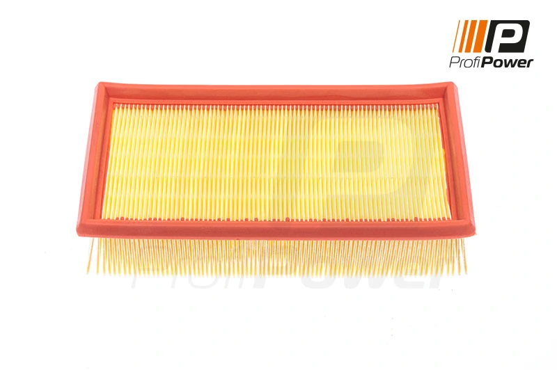 Air Filter 2F0091