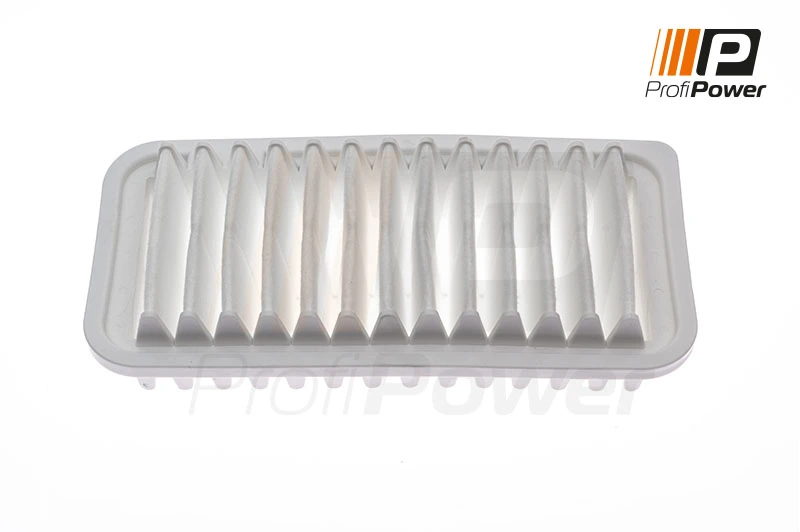 Air Filter 2F0117