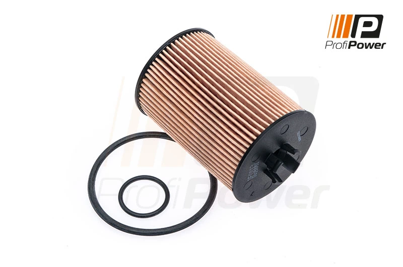 Oil Filter 1F0113