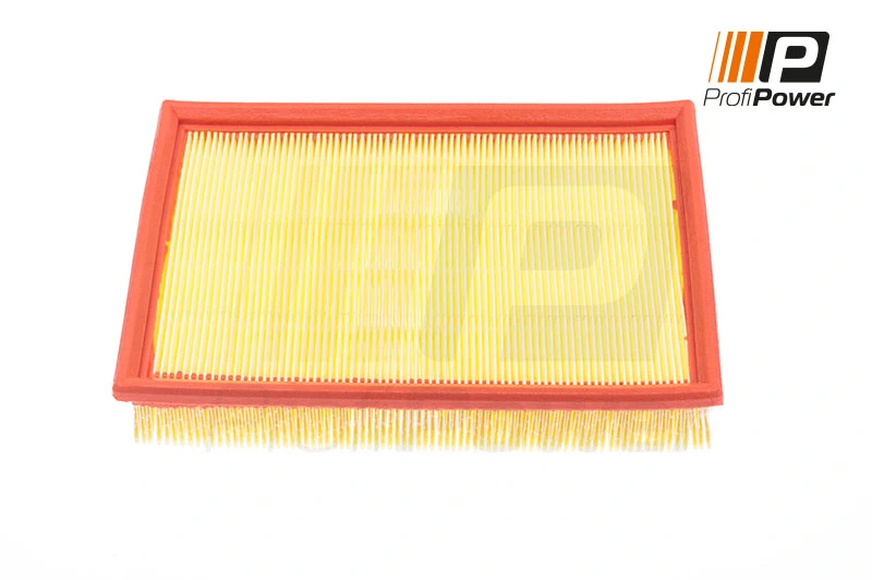 Air Filter 2F0121