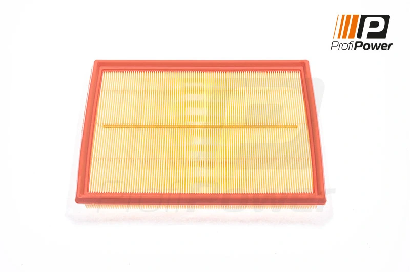Air Filter 2F0083