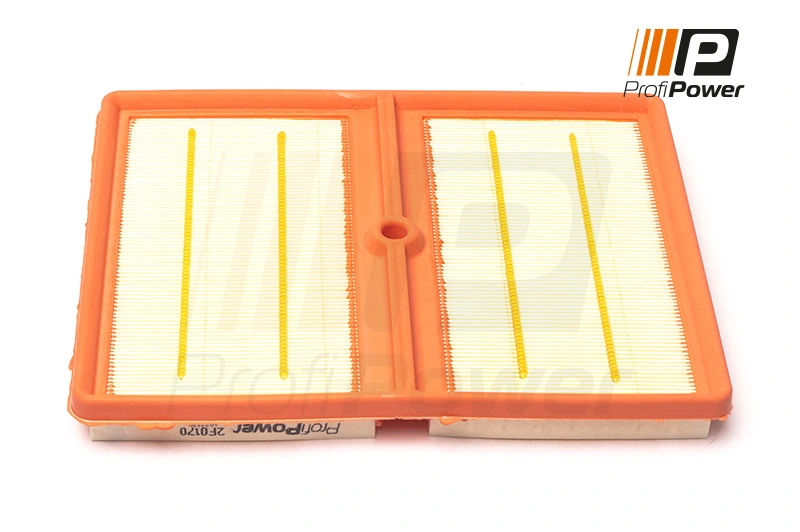 Air Filter 2F0170