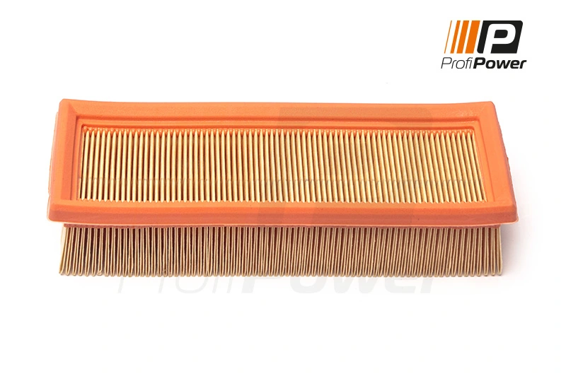 Air Filter 2F0171