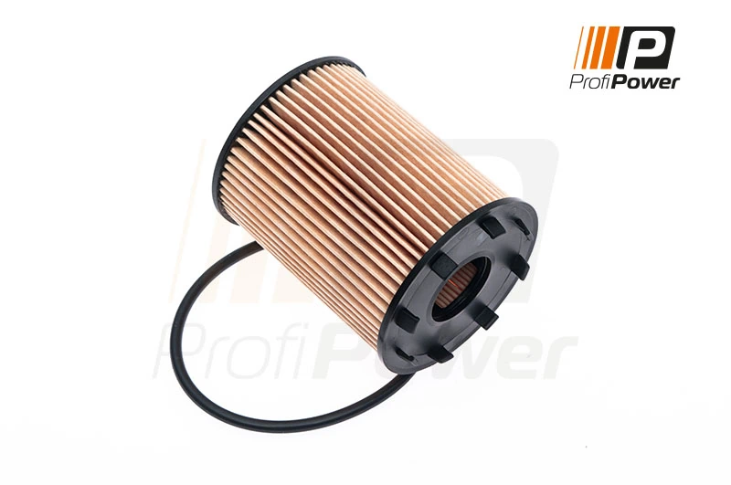 Oil Filter 1F0043