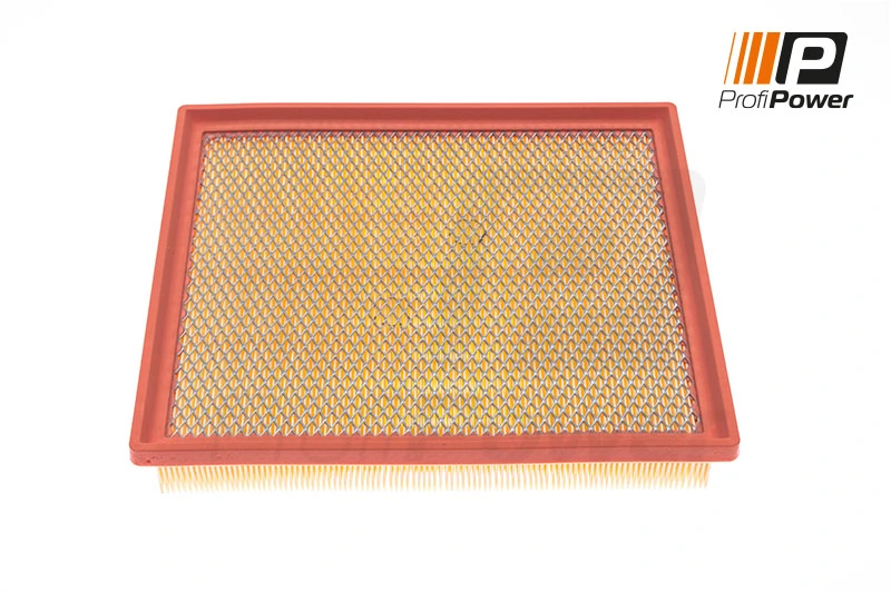 Air Filter 2F0110