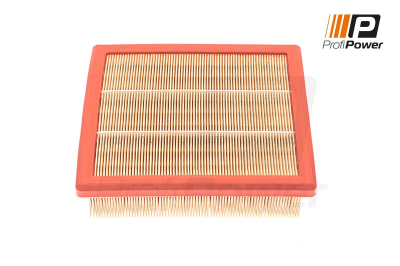 Air Filter 2F0124