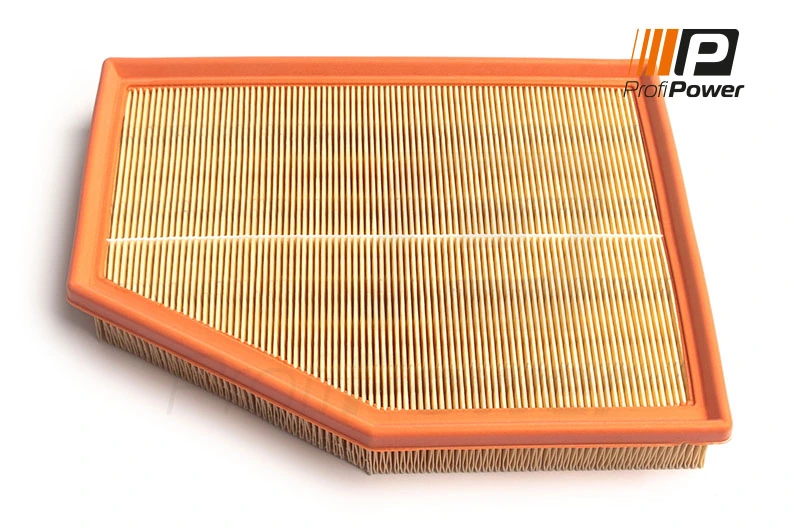 Air Filter 2F0217