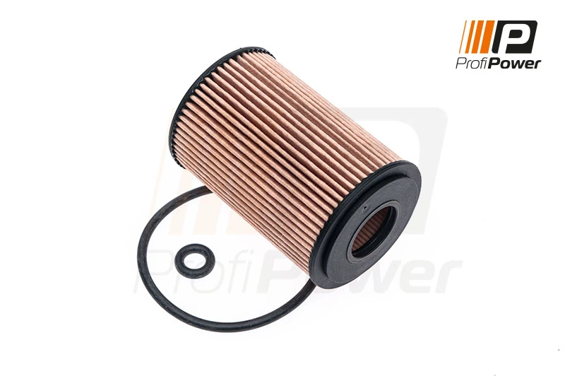 Oil Filter 1F0091