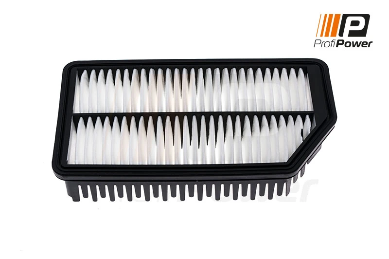 Air Filter 2F0138