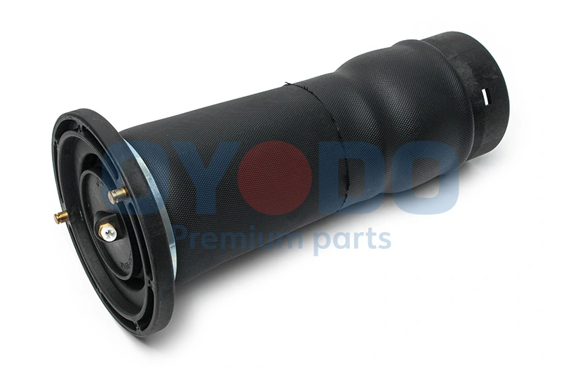Air Suspension Strut 40A0010-OYO