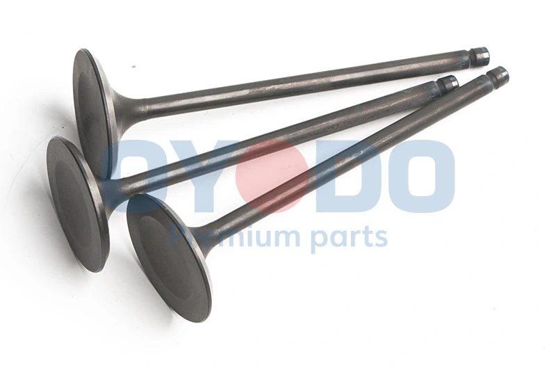 Exhaust Valve 80M0009-OYO