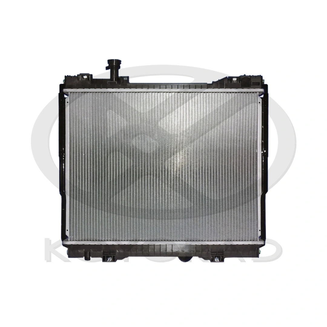 Radiator, engine cooling PL023261