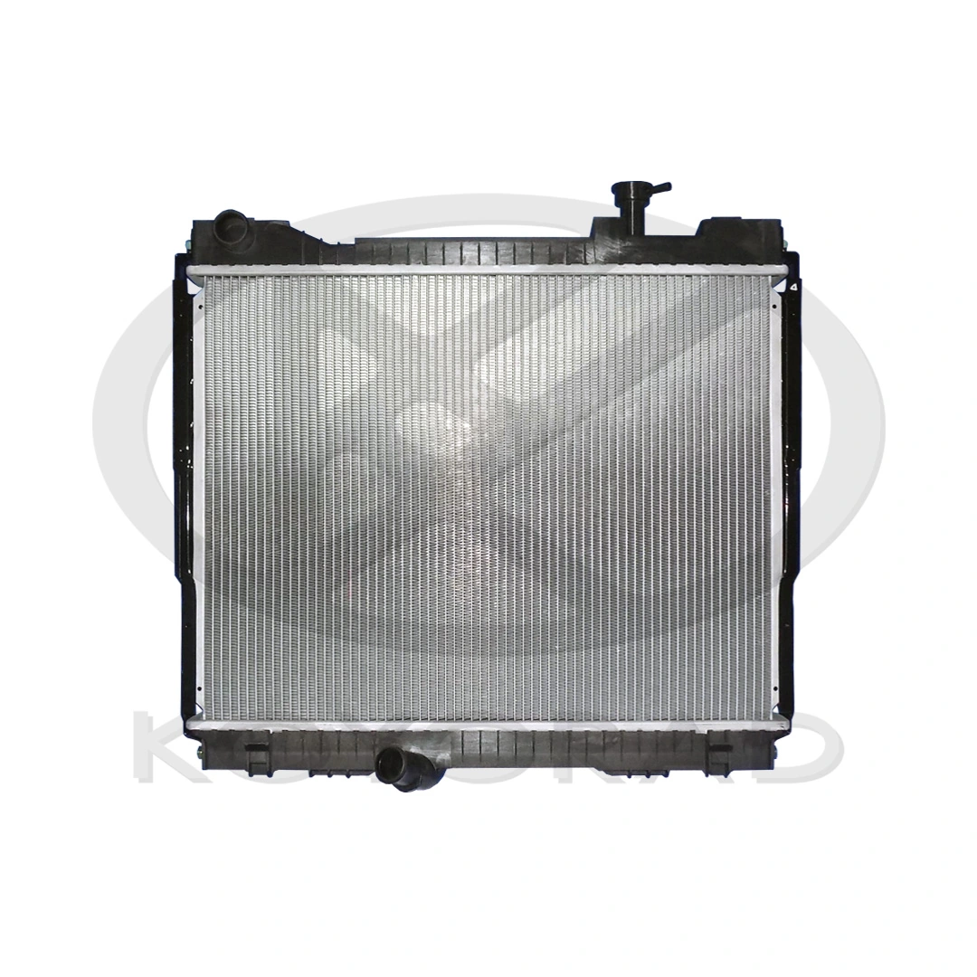 Radiator, engine cooling PL023261