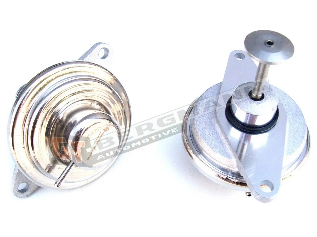 EGR Valve GT55-027