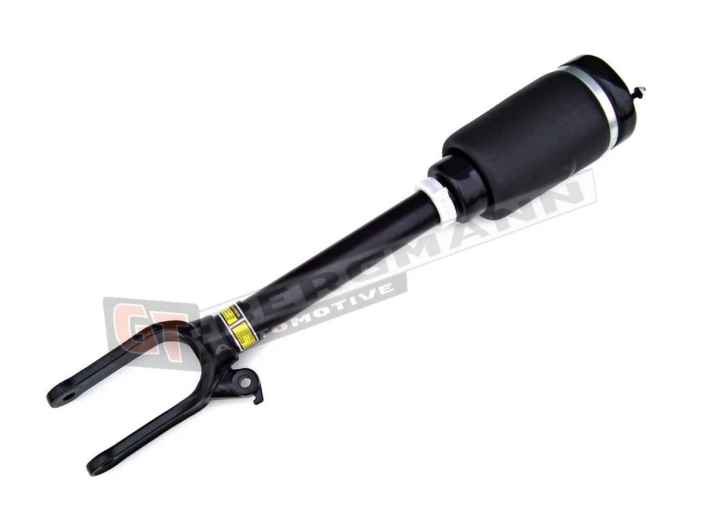 Air Suspension Strut GT25-002