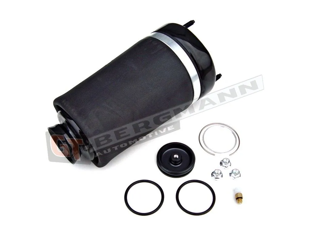 Air Suspension Strut GT25-003