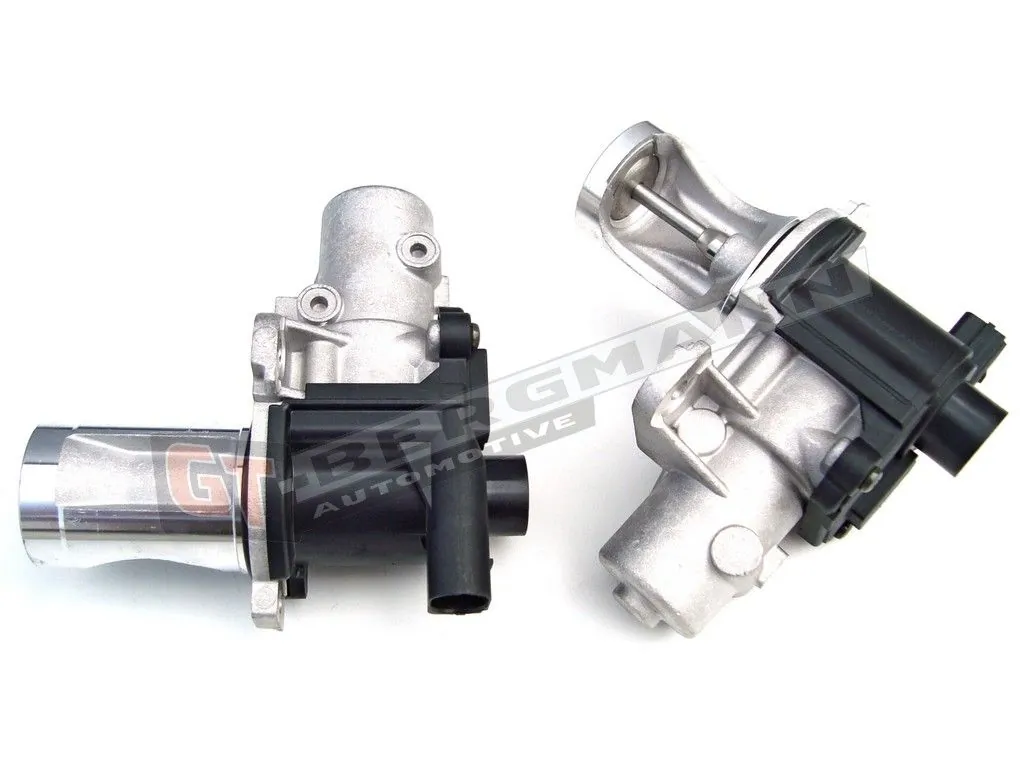 EGR Valve GT55-010