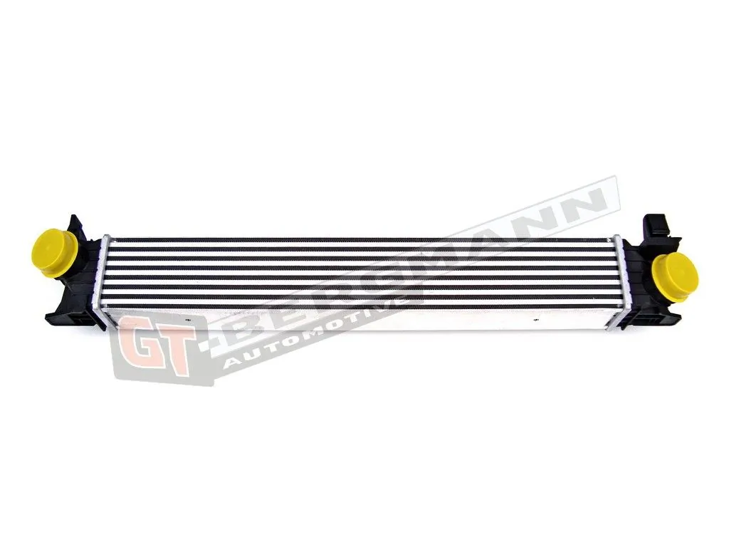 Charge Air Cooler GT12-009