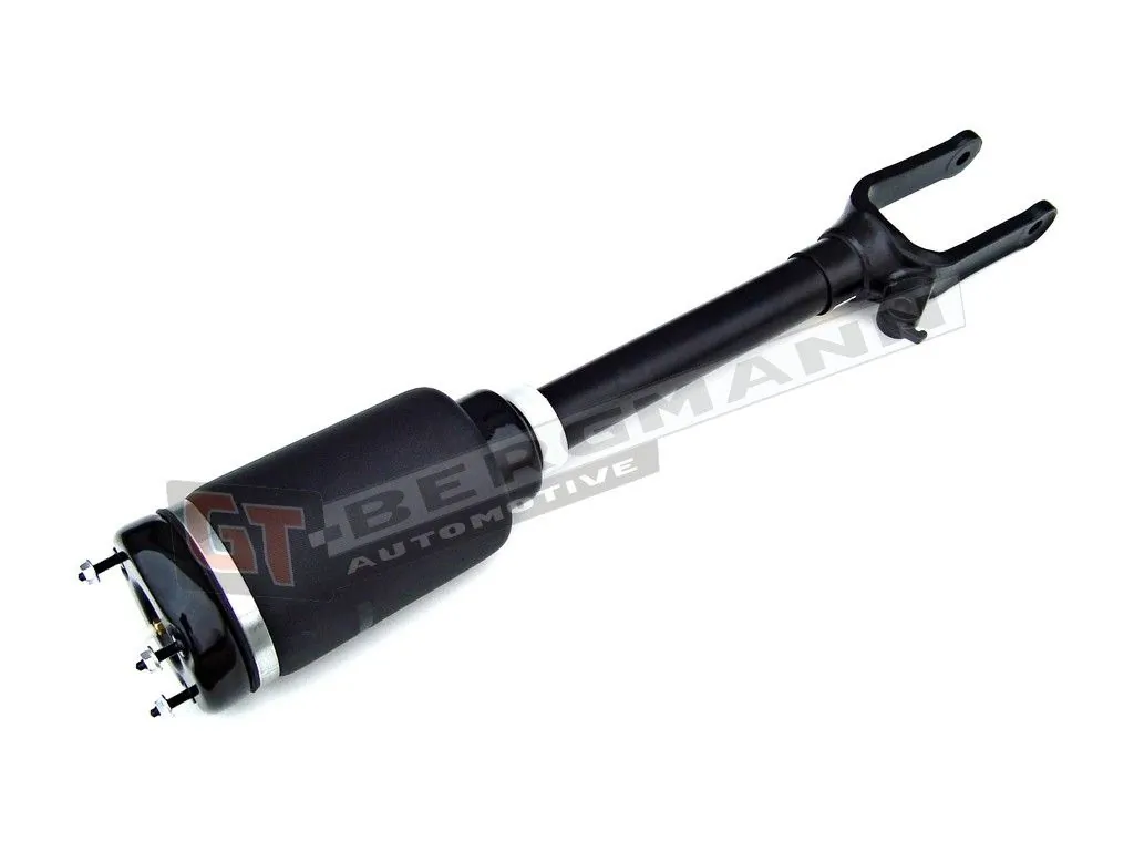Air Suspension Strut GT25-002