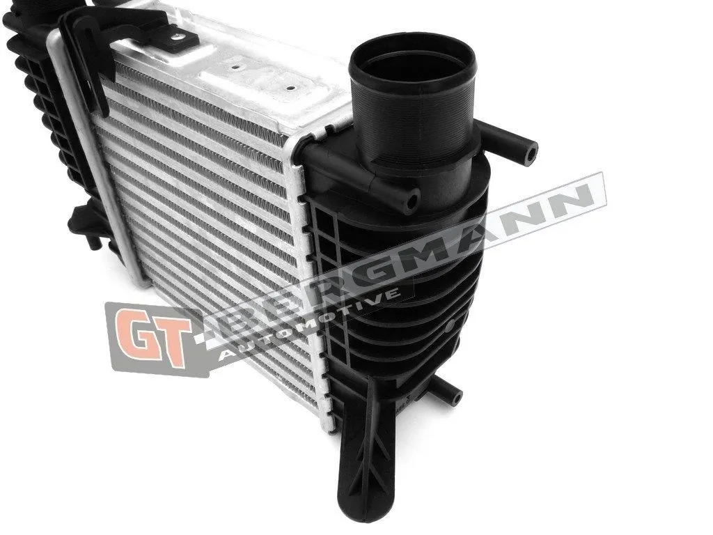 Charge Air Cooler GT12-028