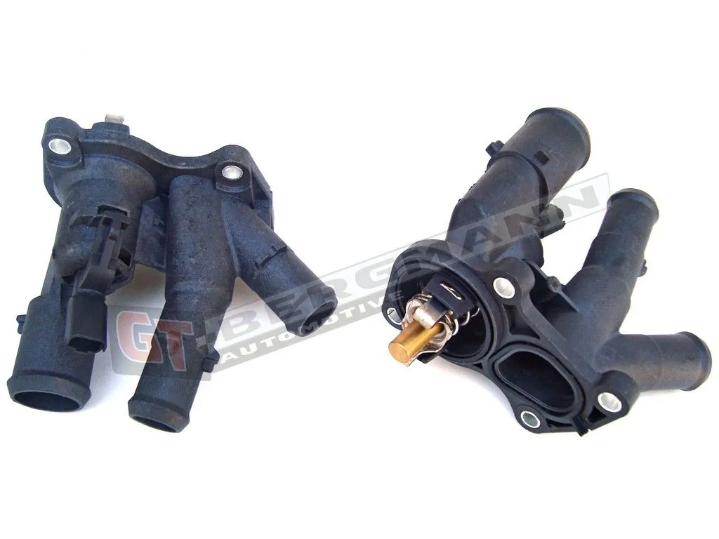 Thermostat, coolant GT17-012
