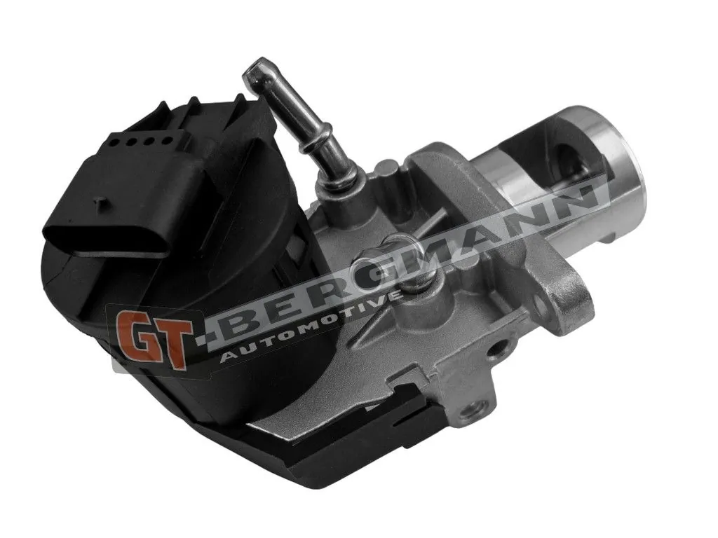 EGR Valve GT55-039