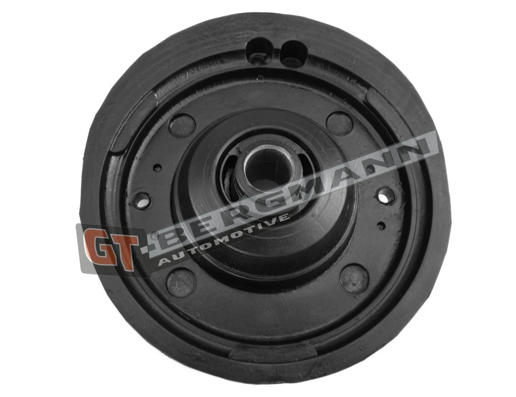 Suspension Strut Support Mount GT25-017