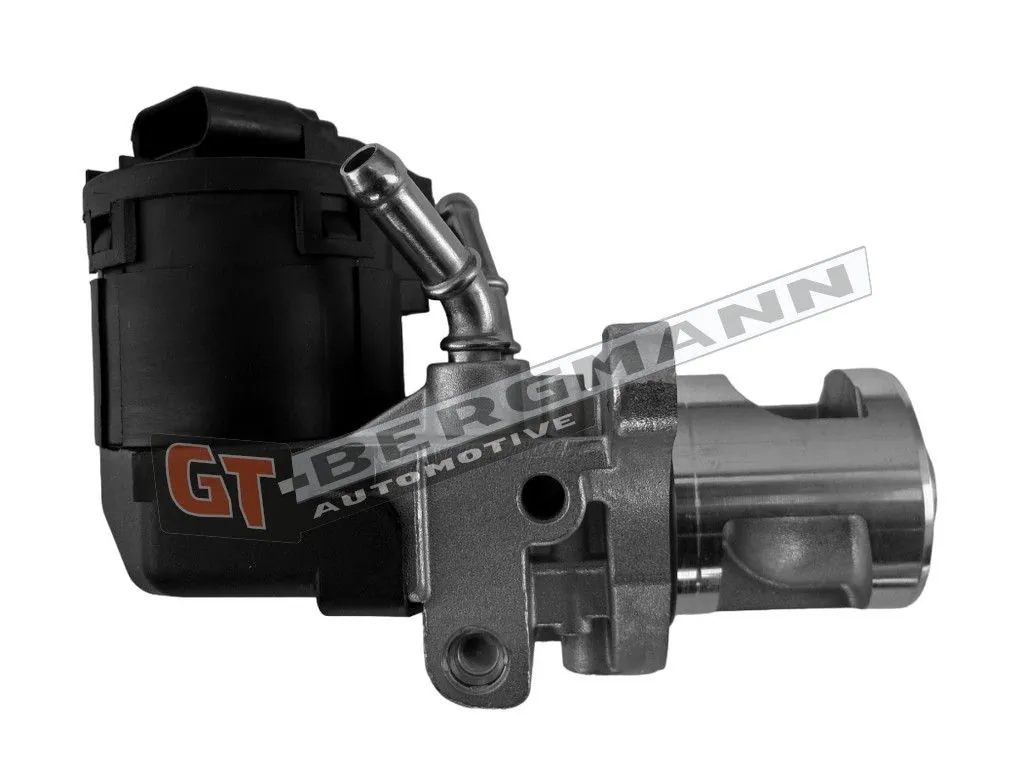 EGR Valve GT55-039