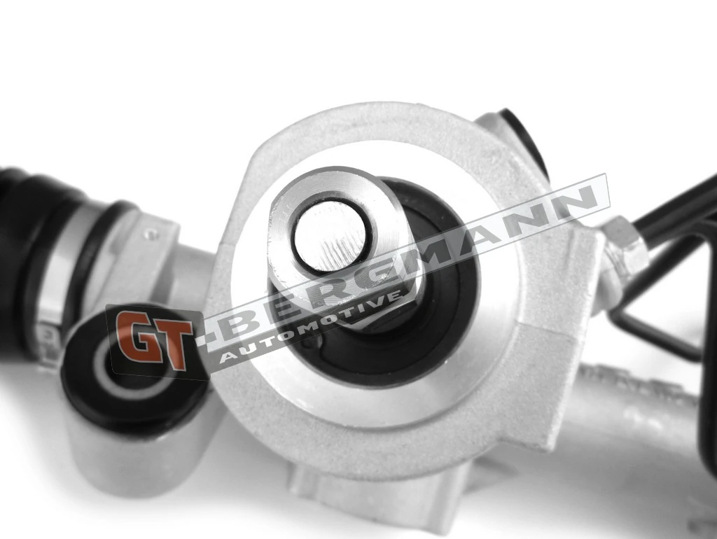 Steering Gear GT30-031